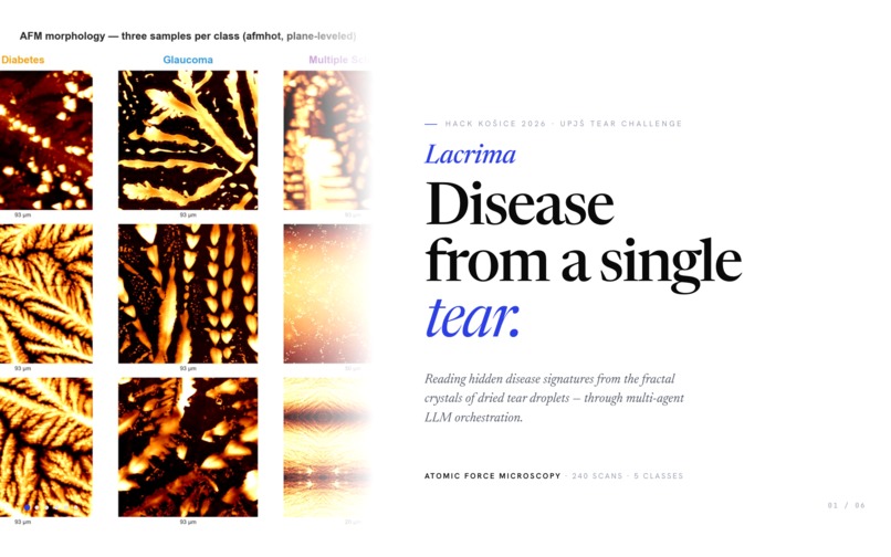 Lacrima – screenshot 1