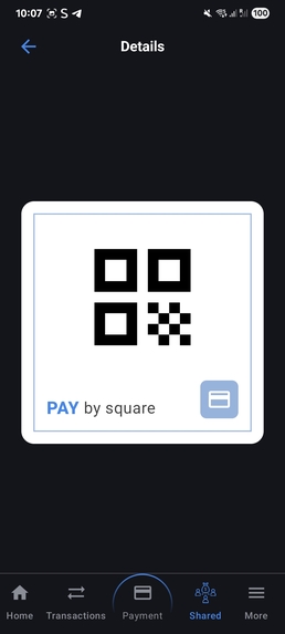 Shared Finances  – screenshot 19