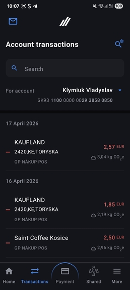 Shared Finances  – screenshot 2