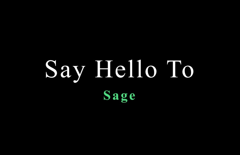 Sage – screenshot 1