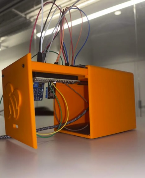 BeeAlive – screenshot 2