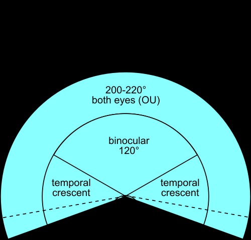 Pan-Optics – screenshot 4