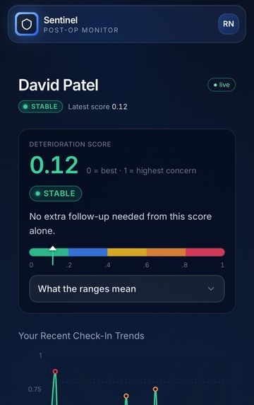 Sentinel – screenshot 3