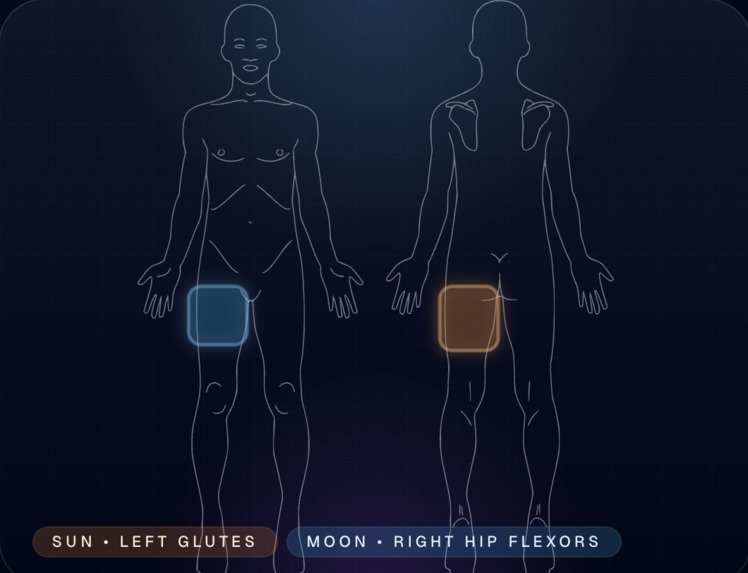 Motion Telemetry for Hydrawav3 – screenshot 1