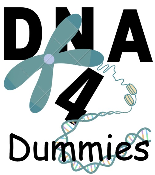 DNA4DUMMIES – screenshot 1