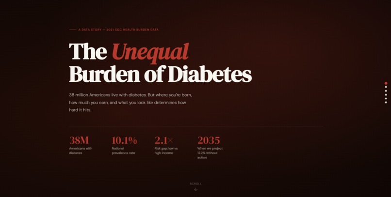 The Unequal Burden — Diabetes Equity Navigator – screenshot 1