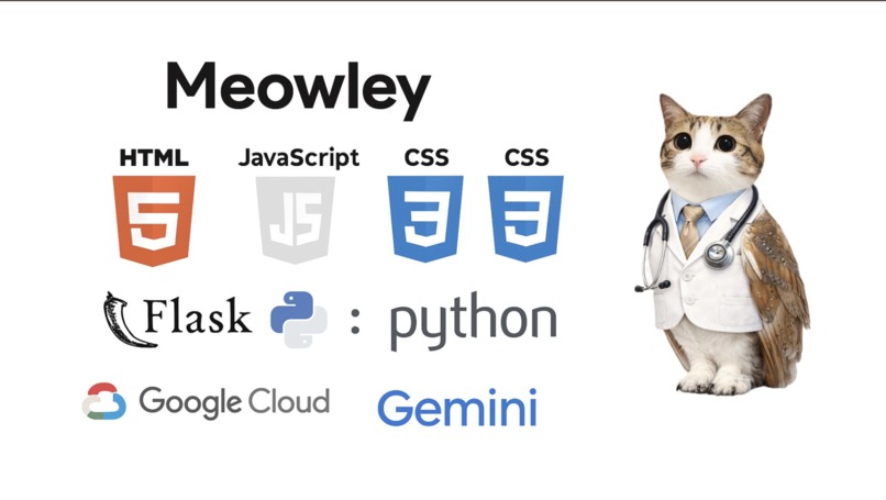 meowley – screenshot 1