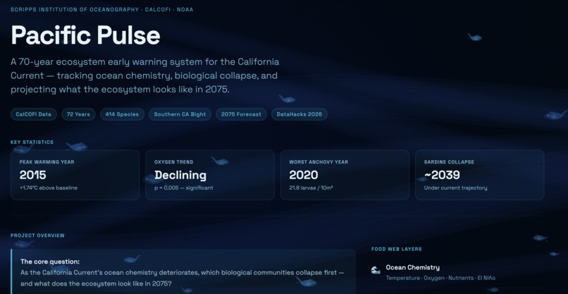 Pacific Pulse – screenshot 1