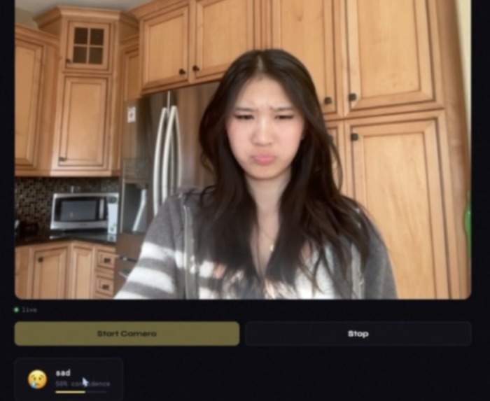 Face2Emoji – screenshot 2