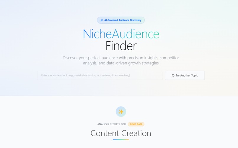 NicheAudienceFinder – screenshot 1