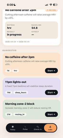 Immortal – screenshot 4