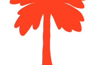 Root