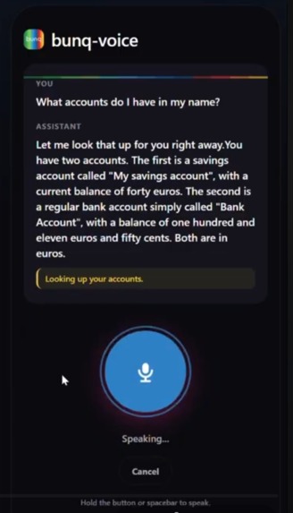 Bunq Voice – screenshot 1