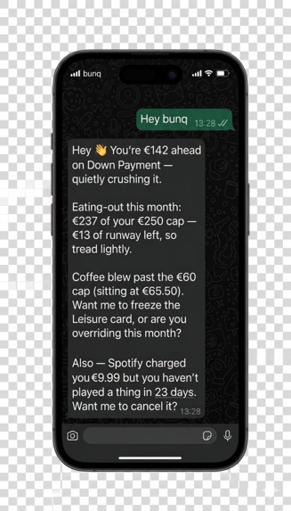 OpenFinn - Hey bunq! – screenshot 9