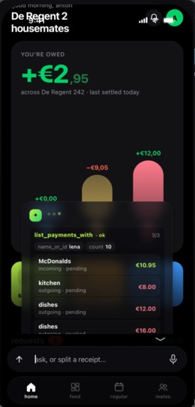flatmate – screenshot 1