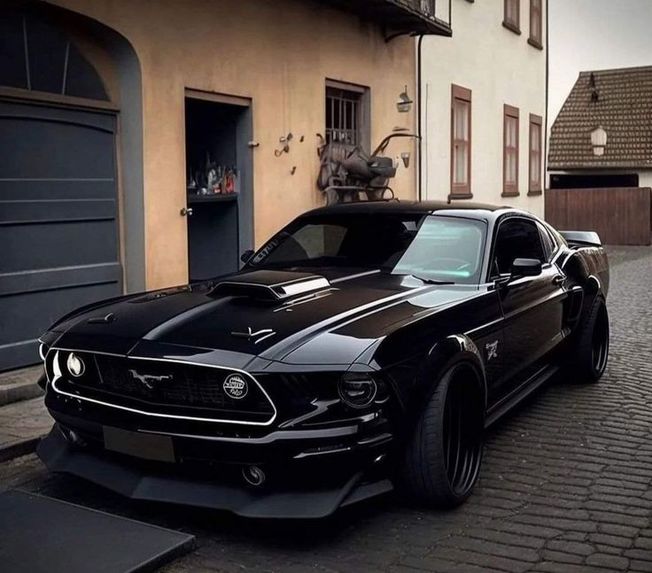 YOURS_MUSTANG – screenshot 4