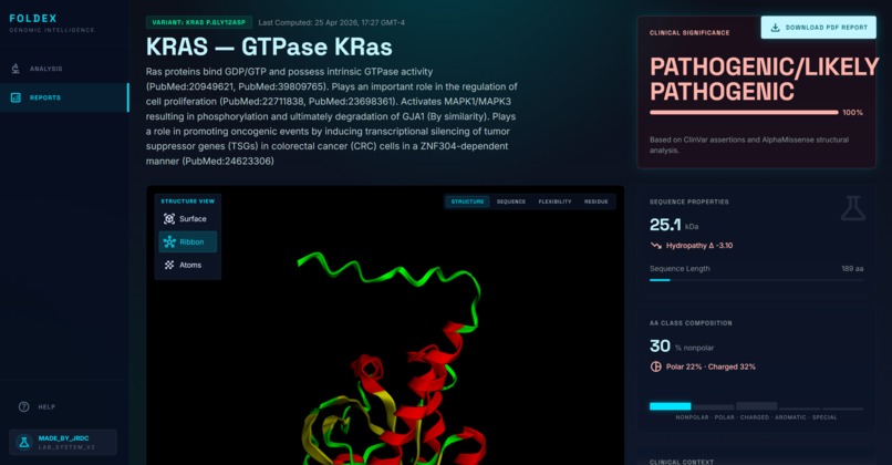 Foldex – screenshot 2