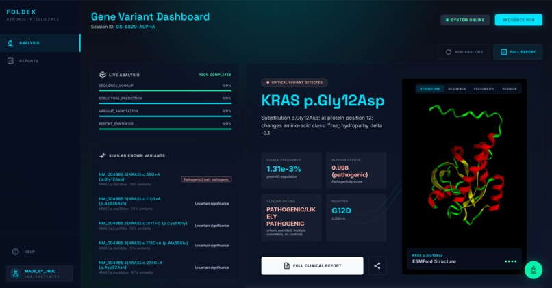 Foldex – screenshot 1