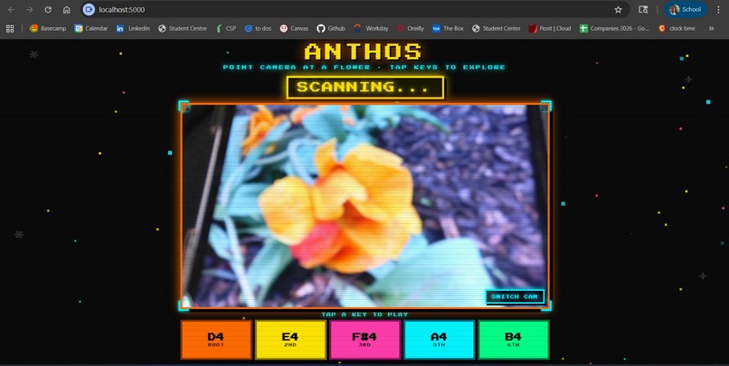 Anthos - every flower has a voice – screenshot 1