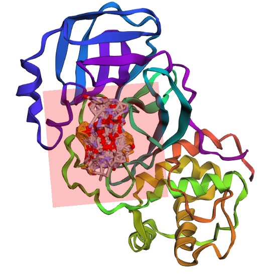 Protease Patrol – screenshot 1