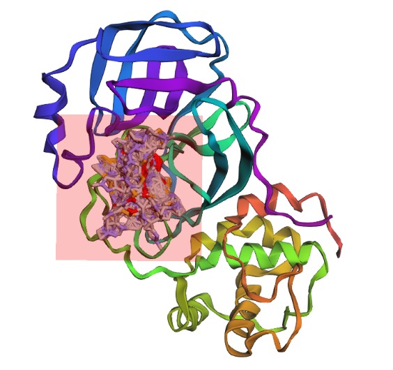 Protease Patrol – screenshot 2