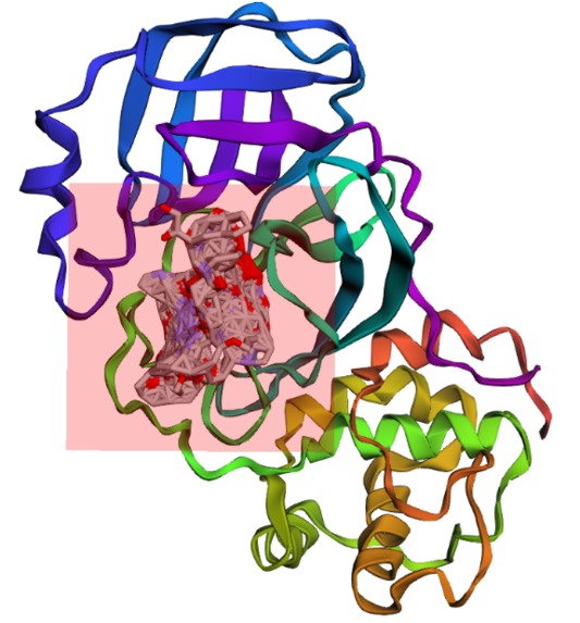 Protease Patrol – screenshot 3