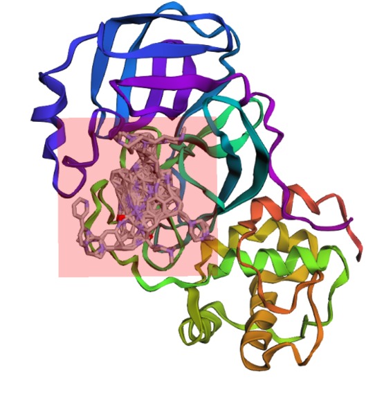 Protease Patrol – screenshot 4
