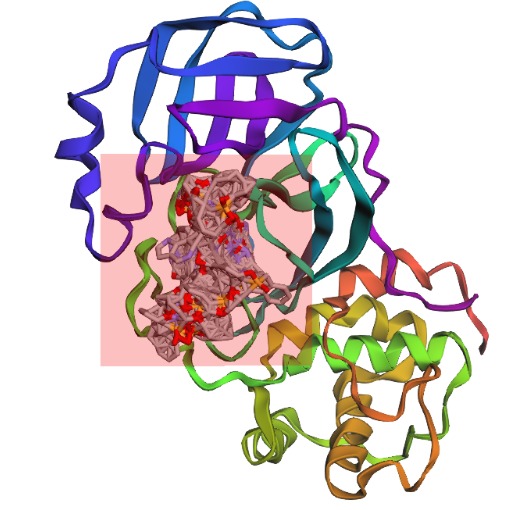 Protease Patrol – screenshot 5