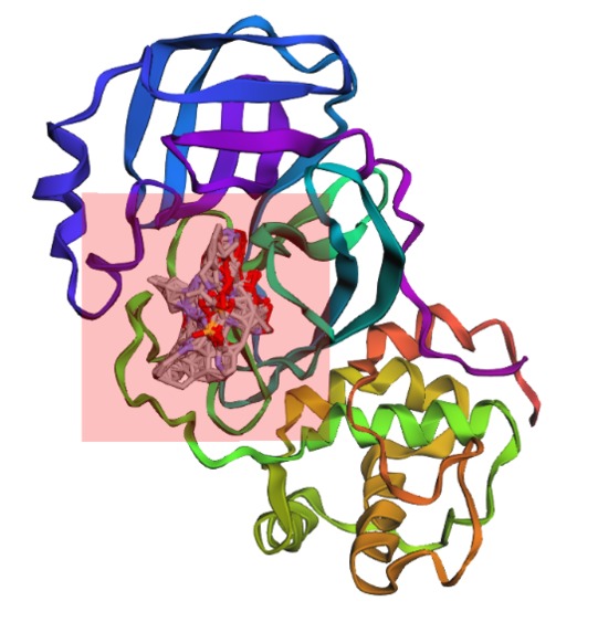 Protease Patrol – screenshot 6