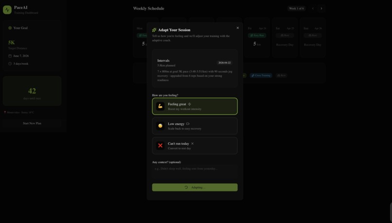 Pace AI – screenshot 4