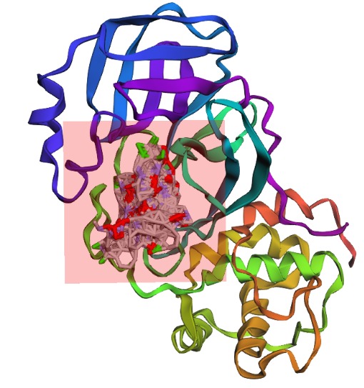 Protease Patrol – screenshot 7