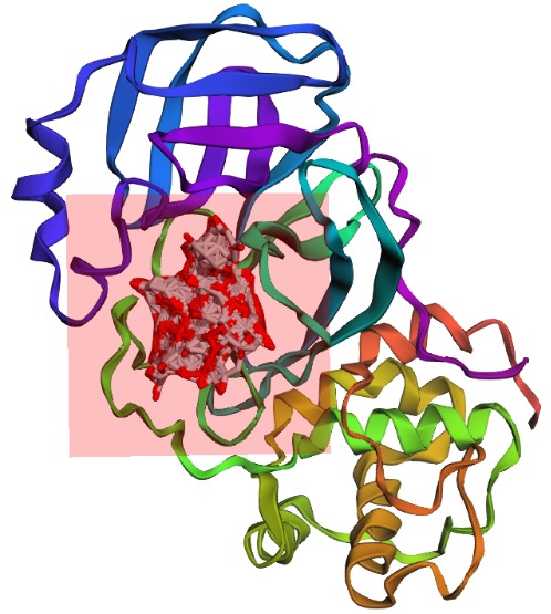 Protease Patrol – screenshot 8