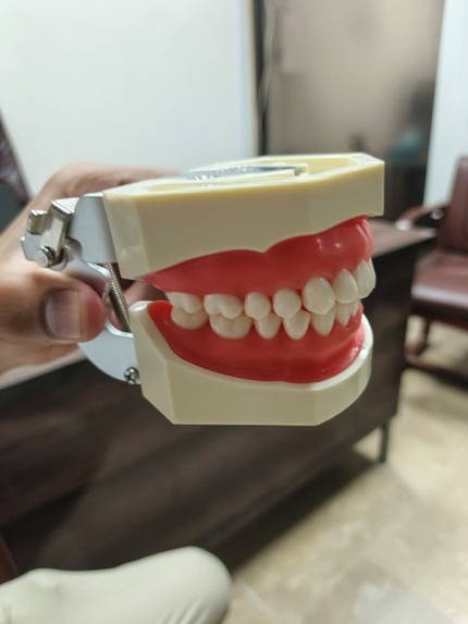 Reconstruction of Tooth – screenshot 3