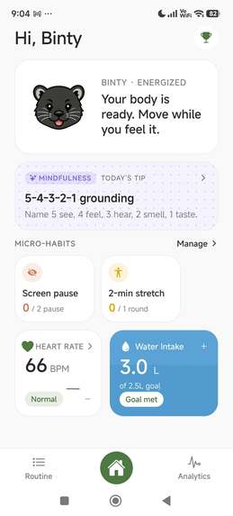 BINTY -  "Less Guessing, More Living" – screenshot 1