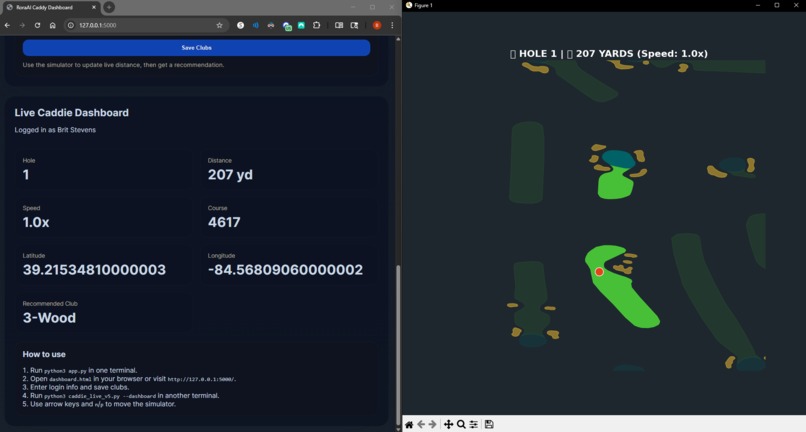 RorAI – screenshot 2