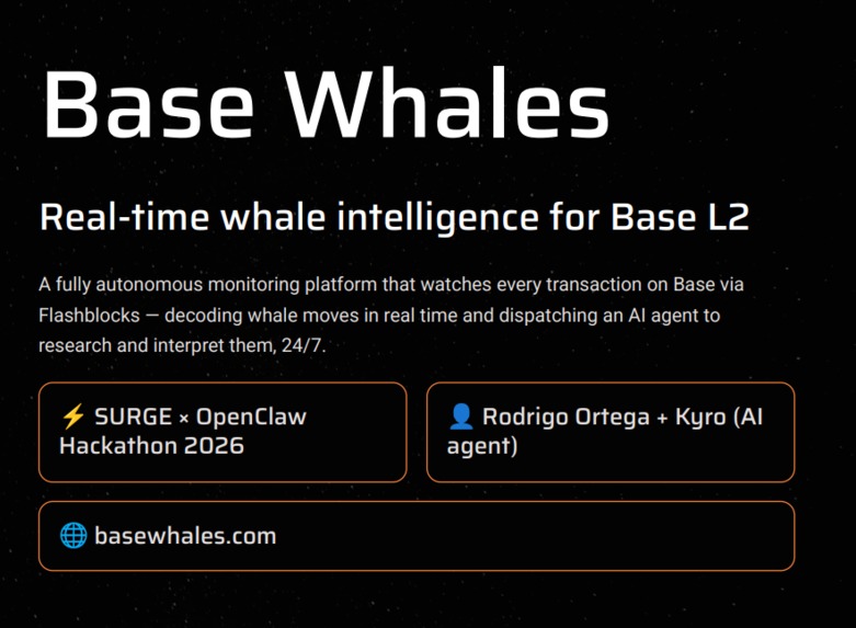 BaseWhales – screenshot 1