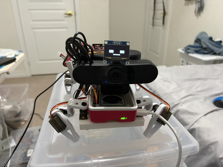 Cleo – screenshot 2