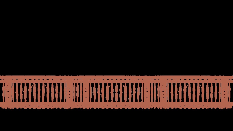 Apila la pinya – screenshot 1