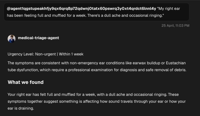 Medical Triage Agent – screenshot 1
