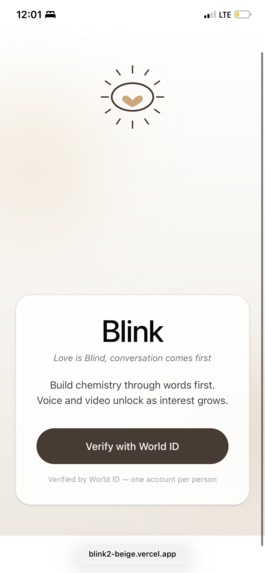 Blink – screenshot 2