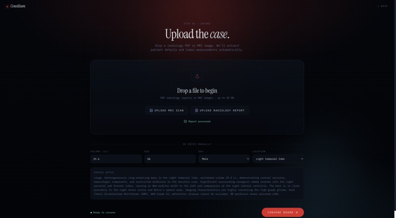 Consilium – screenshot 2