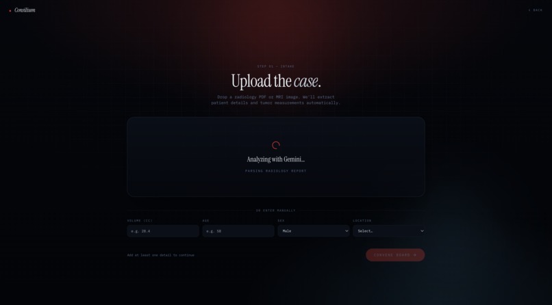 Consilium – screenshot 4