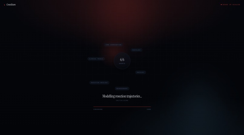 Consilium – screenshot 5