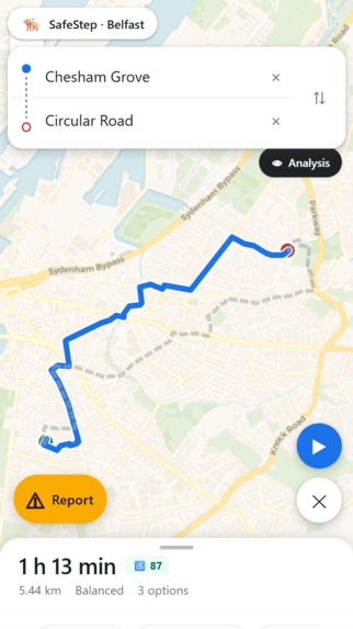 Nadhan Celis - Group 10 - SafeStep – screenshot 4