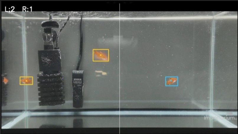 YES? or YES! – screenshot 2