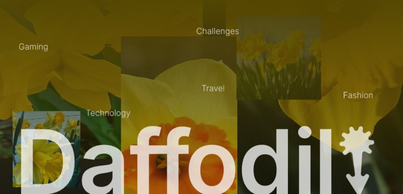 Daffodil - YouTube client – screenshot 1