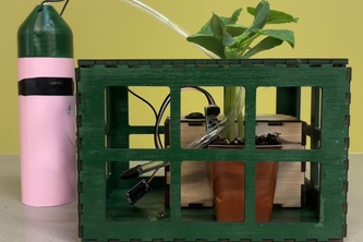 My First Greenhouse