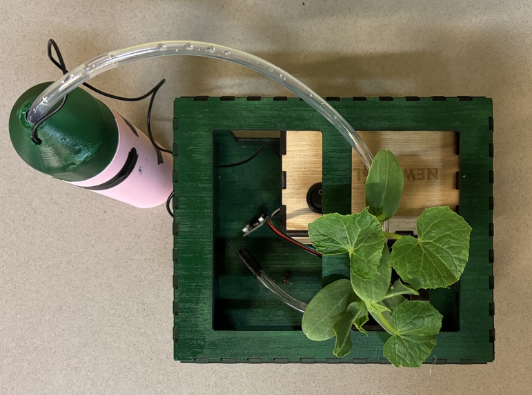 My First Greenhouse – screenshot 2