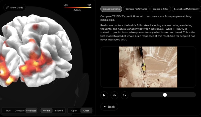 amy – screenshot 3