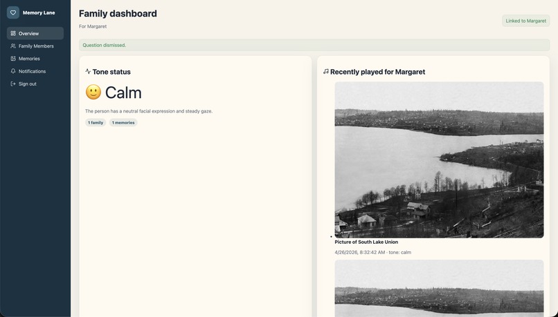 Memory Lane – screenshot 5